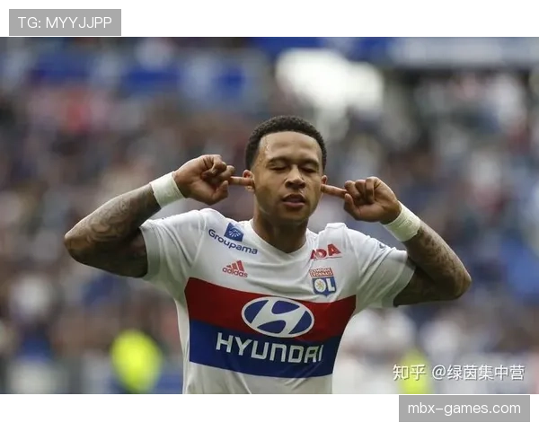 德佩技术全面性 德佩技术全面性